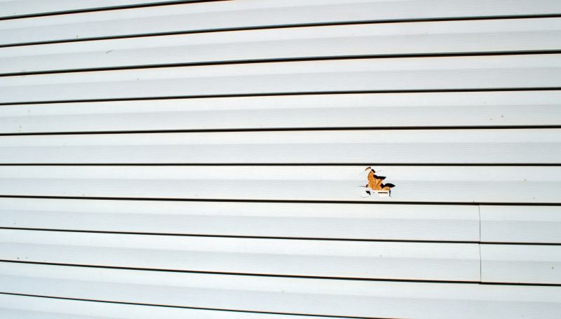 Vinyl Siding Repair - Image 2